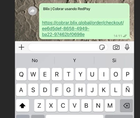 WhatsApp payment collection via Bliix and RedPay